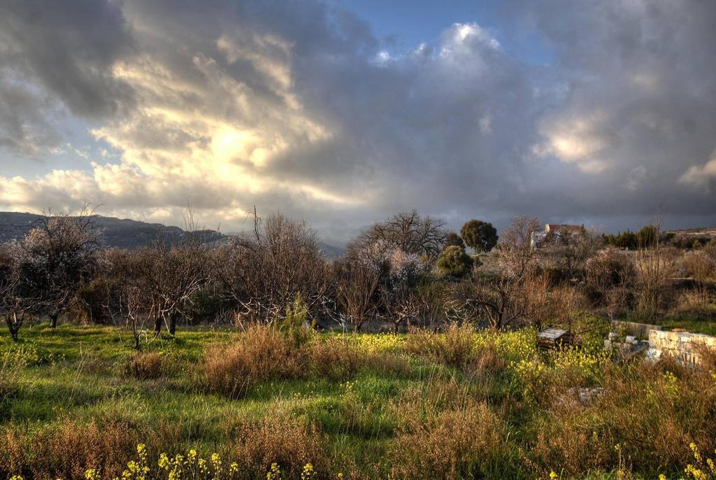 Lania Royal Oak House By Trulycyprus Villa Luaran gambar